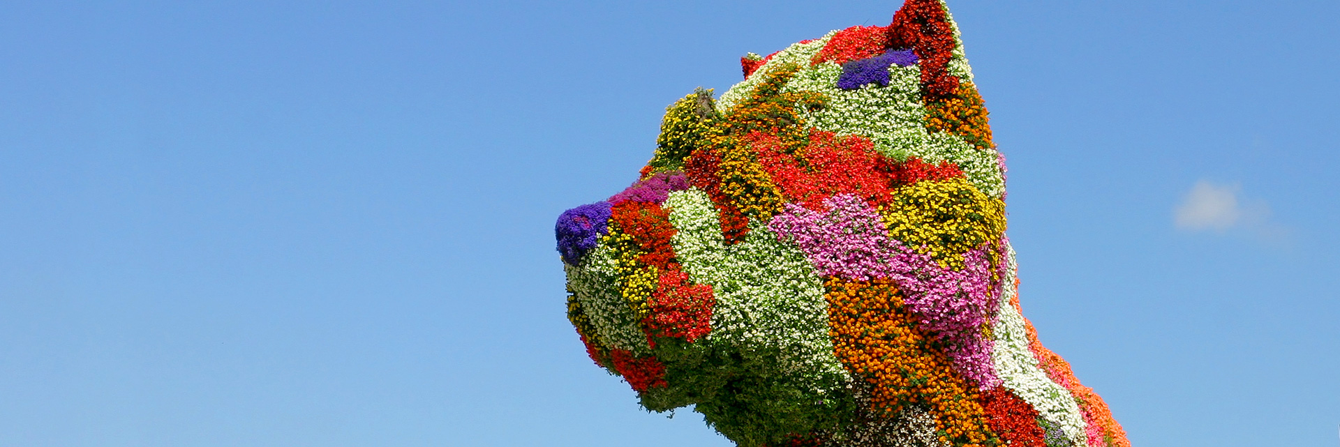 Bilbao Art and Design
