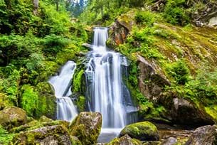 Black Forest Adventure
