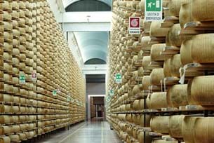 Bologna Business Studies