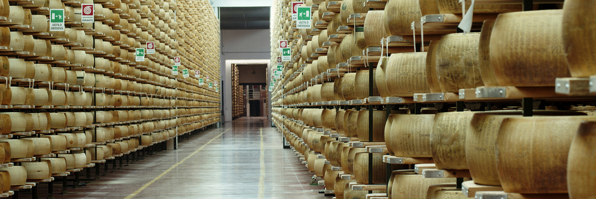 Bologna Food Studies