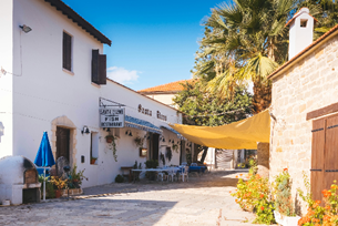 Food Studies in Cyprus!