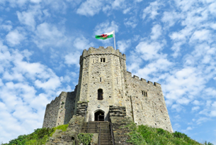 Diverse Cardiff!