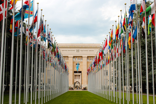 Diverse Geneva!