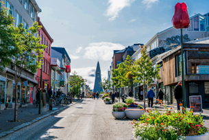 Diverse Reykjavík!