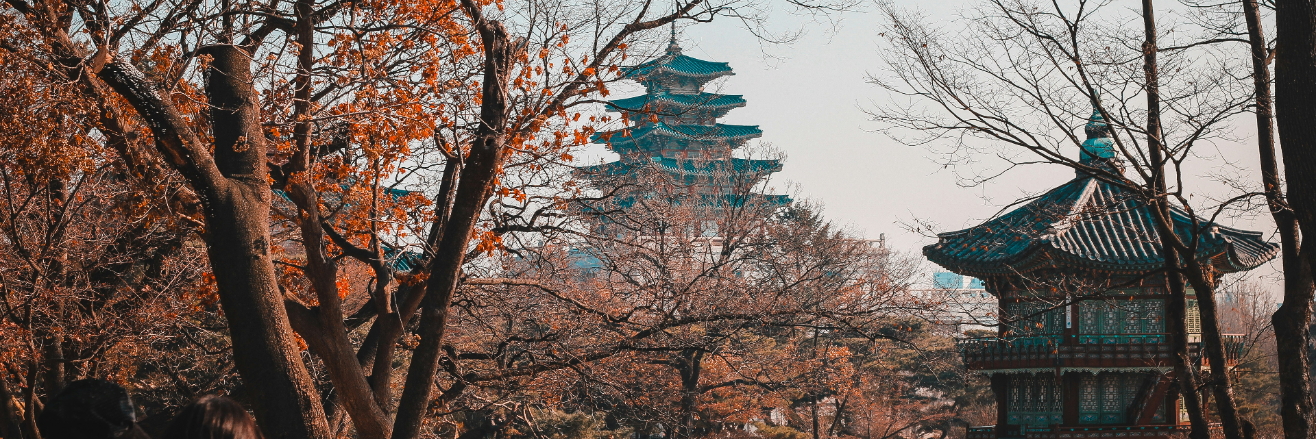 Diverse South Korea!