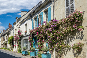 Angevin History in France