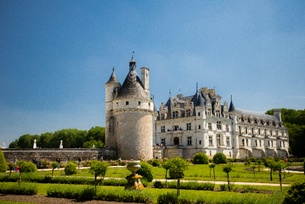 Angevin History in France