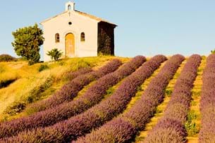 French Culture in Provence