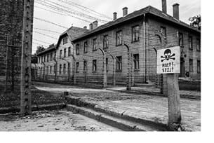 History & Holocaust in Berlin and Krakow