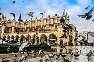 History & Holocaust in Berlin and Krakow