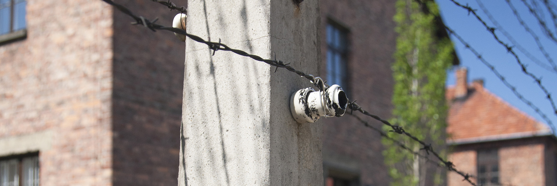 History & Holocaust in Berlin and Krakow