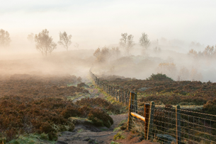 Peak District: Tudor history and the story of the plague