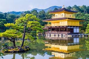 Japan Science and Discovery