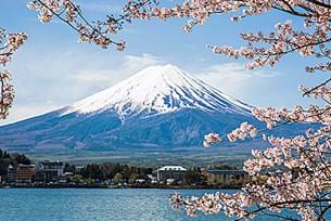 Japan Science and Discovery