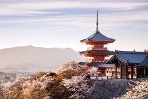 Japan Science and Discovery