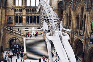 London Museums