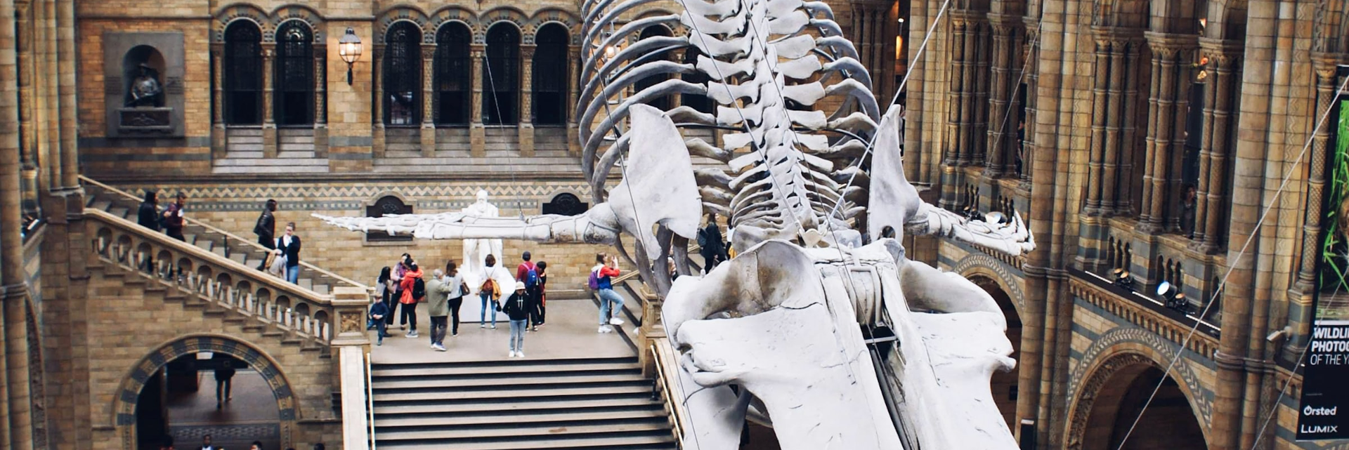 London Museums