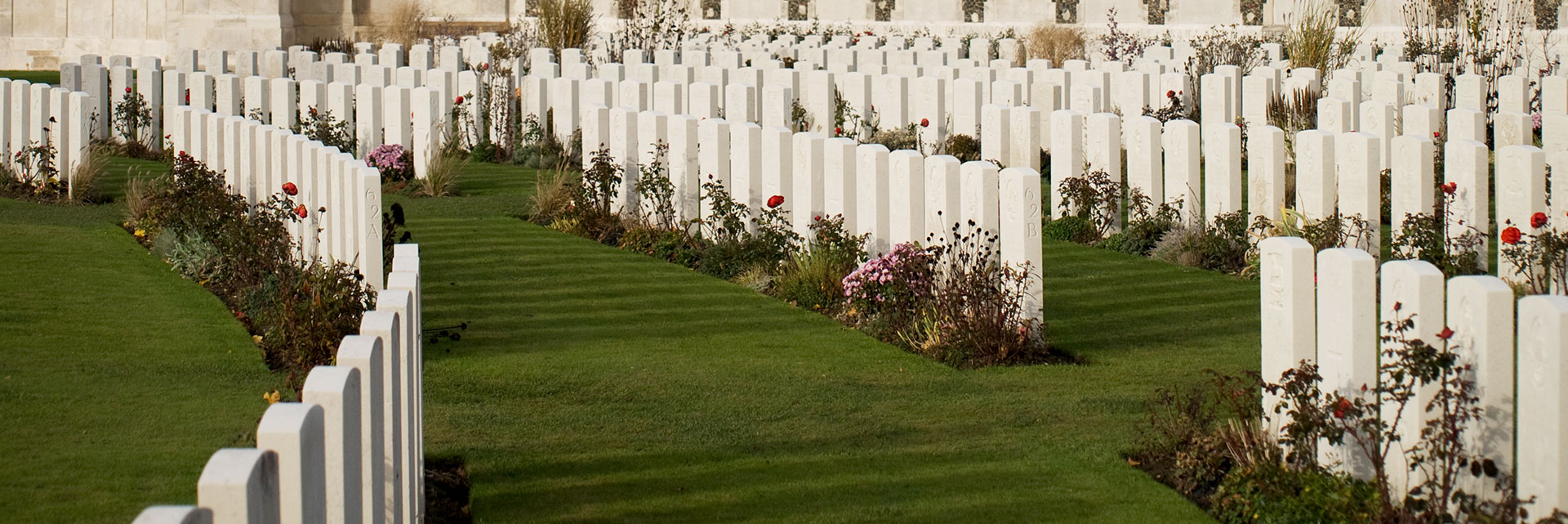 Medicine on the Western Front
