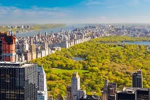 New York Art and Design