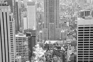 New York Business Studies