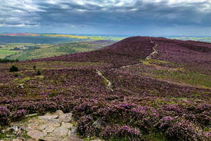 Northumberland: Romans, Vikings and Britain's frontier