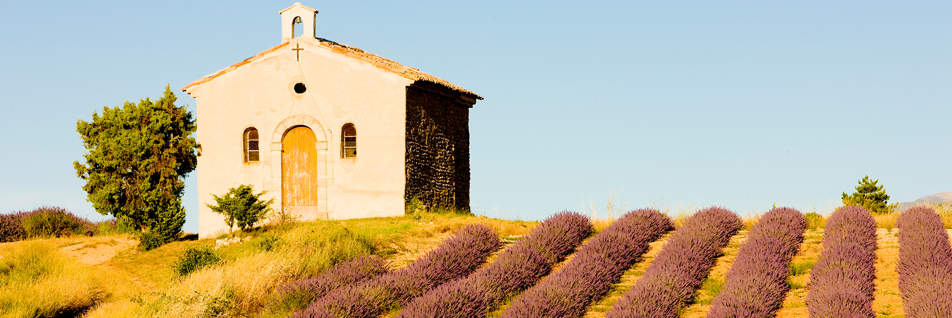Provence Classics
