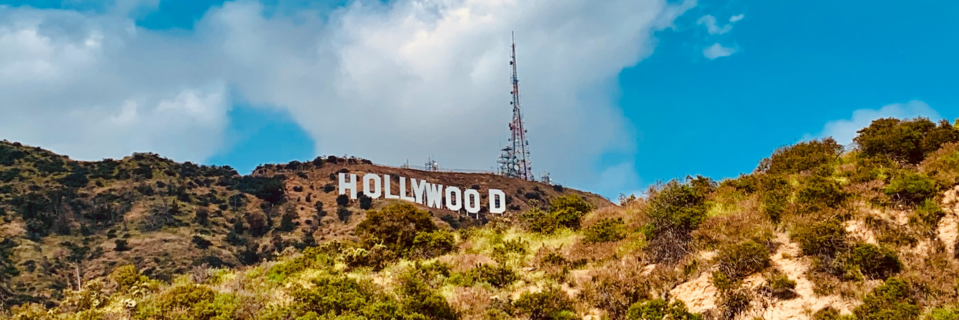 San Francisco and Los Angeles Media and Drama