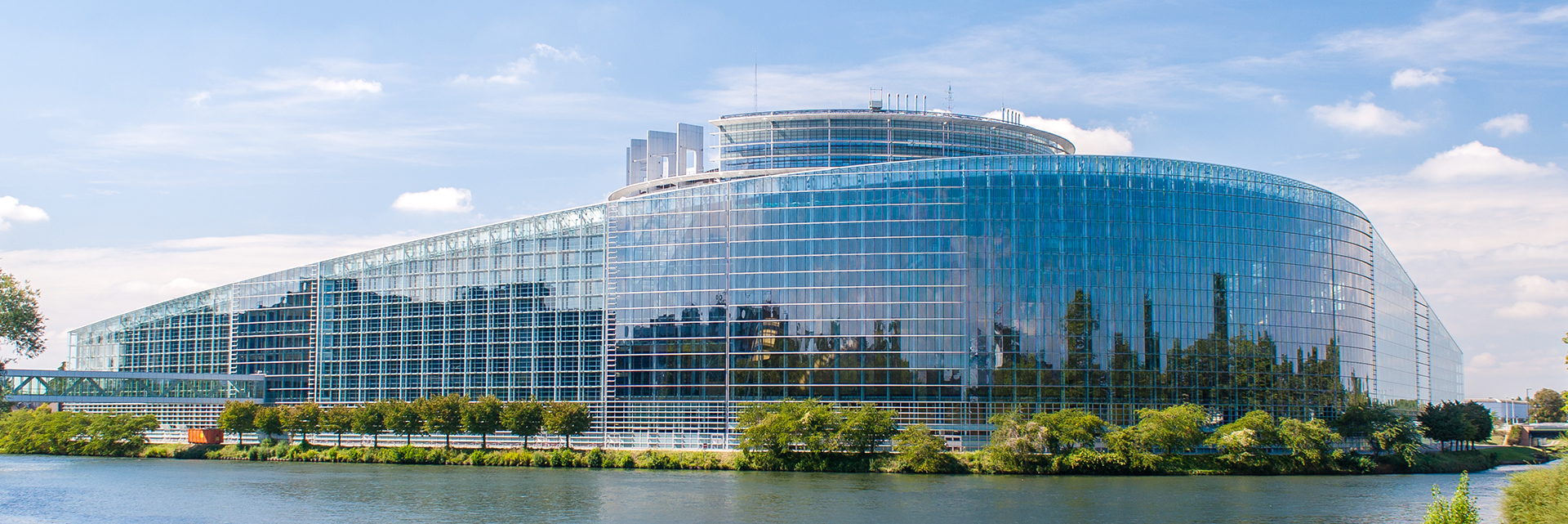 Strasbourg History and Politics