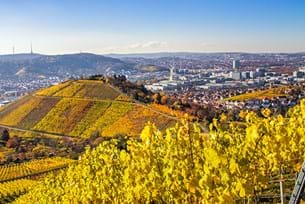Stuttgart Science and Engineering