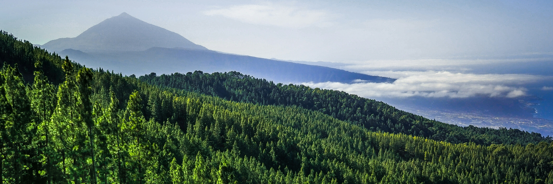 Unspoilt Landscapes of Tenerife
