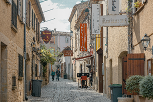 Toulouse Through the Ages
