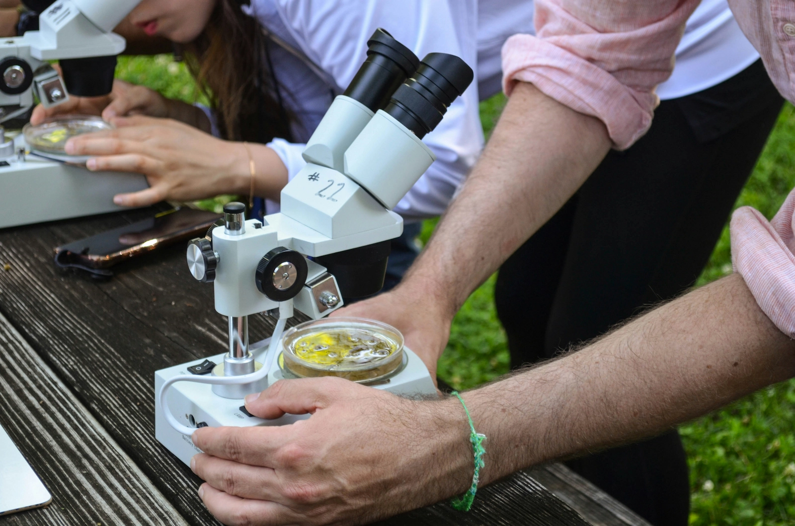 Science (STEM)