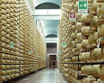 Parmesan Making