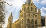 Natural History Museum